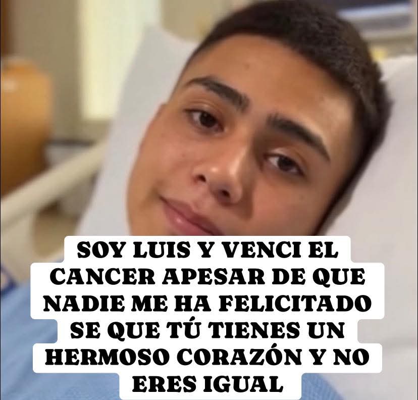 Maria tweet media