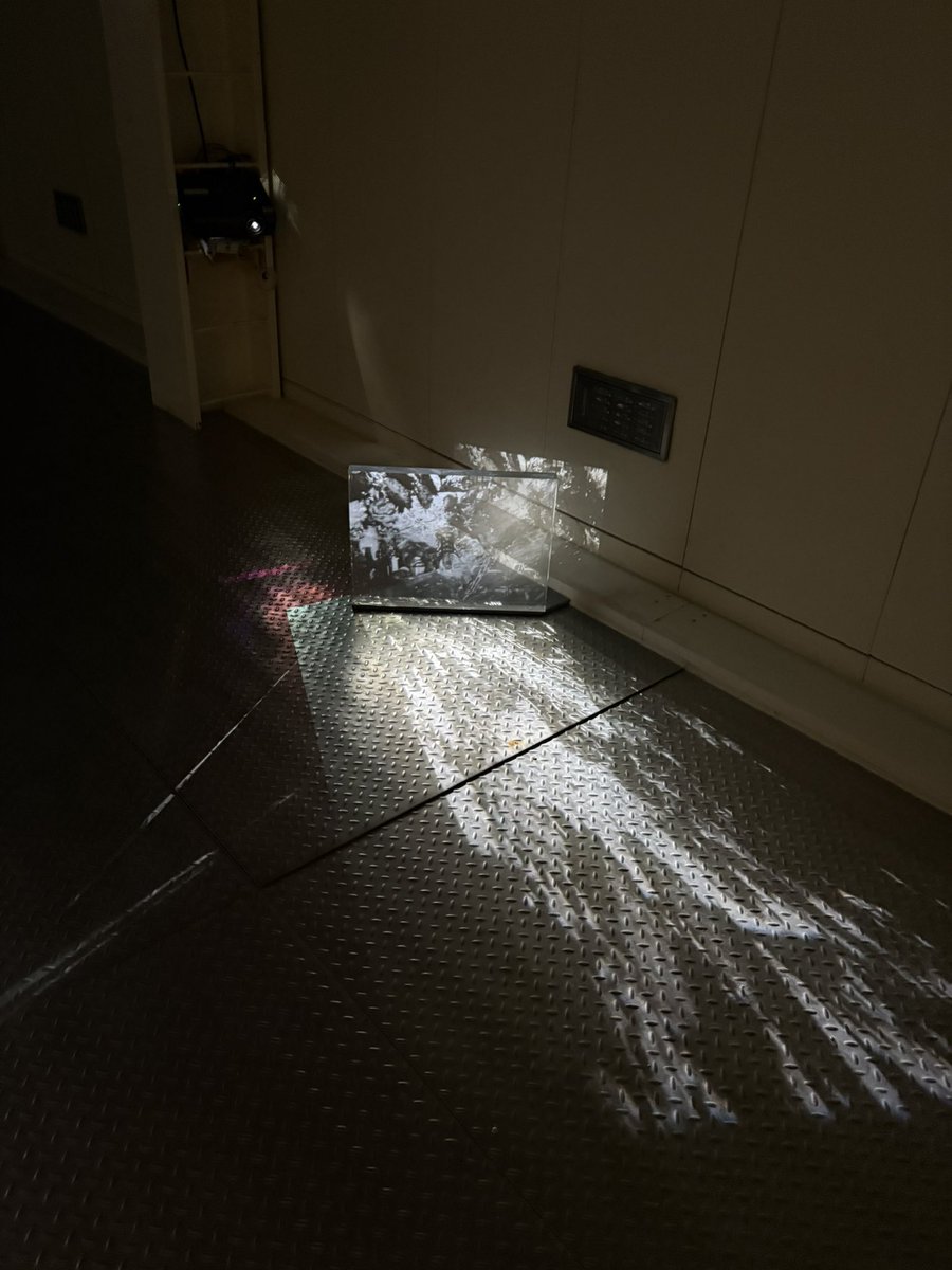 나나시 tweet media