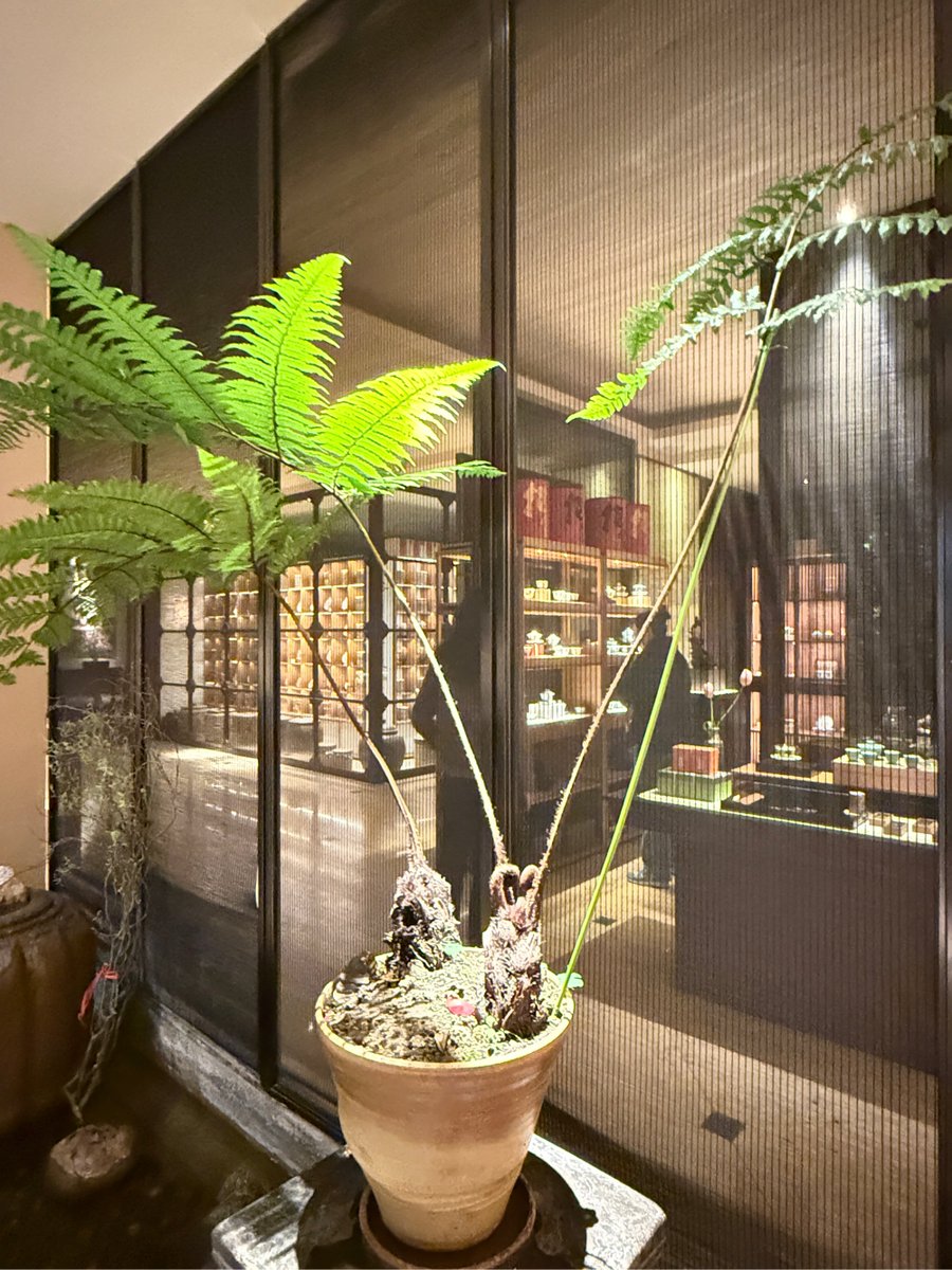 Stephan R. Keller tweet media