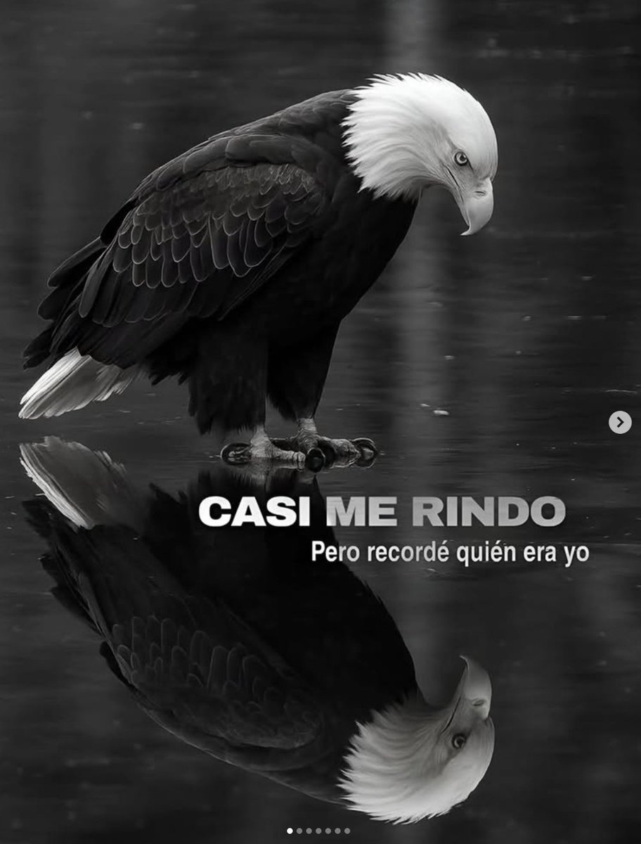 Parallel Money tweet media