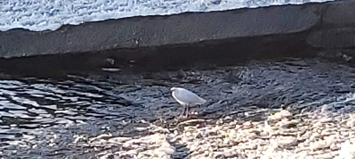 David L Barratt 🏳️🌈He/Him 🏳️⚧️Ally tweet media