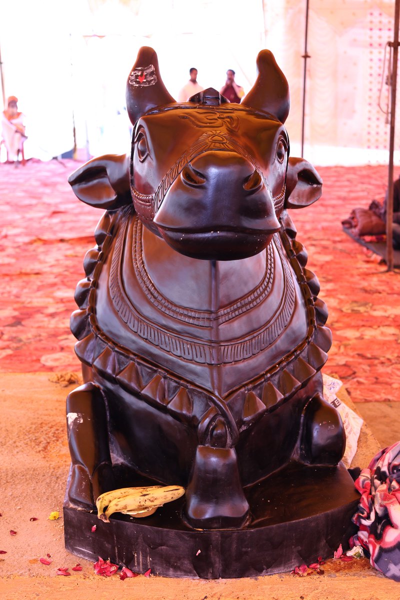 नंदीश्वर महाराज। श्री द्वादश ज्योतिर्लिंग मंदिर निर्माणाधीन पिथौरा चौरासी कोस परिक्रमा मार्ग श्री धाम वृंदावन मथुरा उत्तर प्रदेश।।