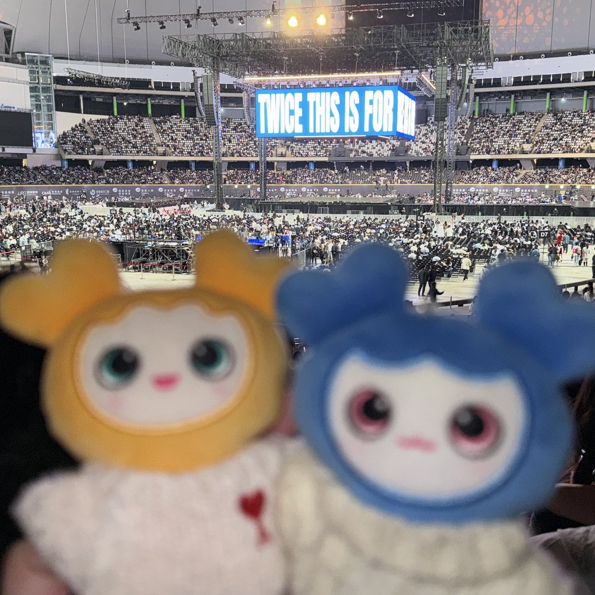 jitzuer 🏹 tweet media