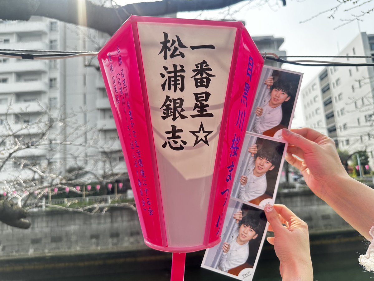 chippy0511Gin's tweet photo. 目黒川桜まつりの ぼんぼりを見つけに🚶‍♀️💚🚶‍♀️💚🚶‍♀️💚
桜は咲き始め🌸で、ぼんぼりと一緒に写真を撮るのは叶わなかったけど
色んなぼんぼりを見ながらのお散歩は、嬉しかったし楽しかった🥰 https://t.co/u3zFU4HPFu