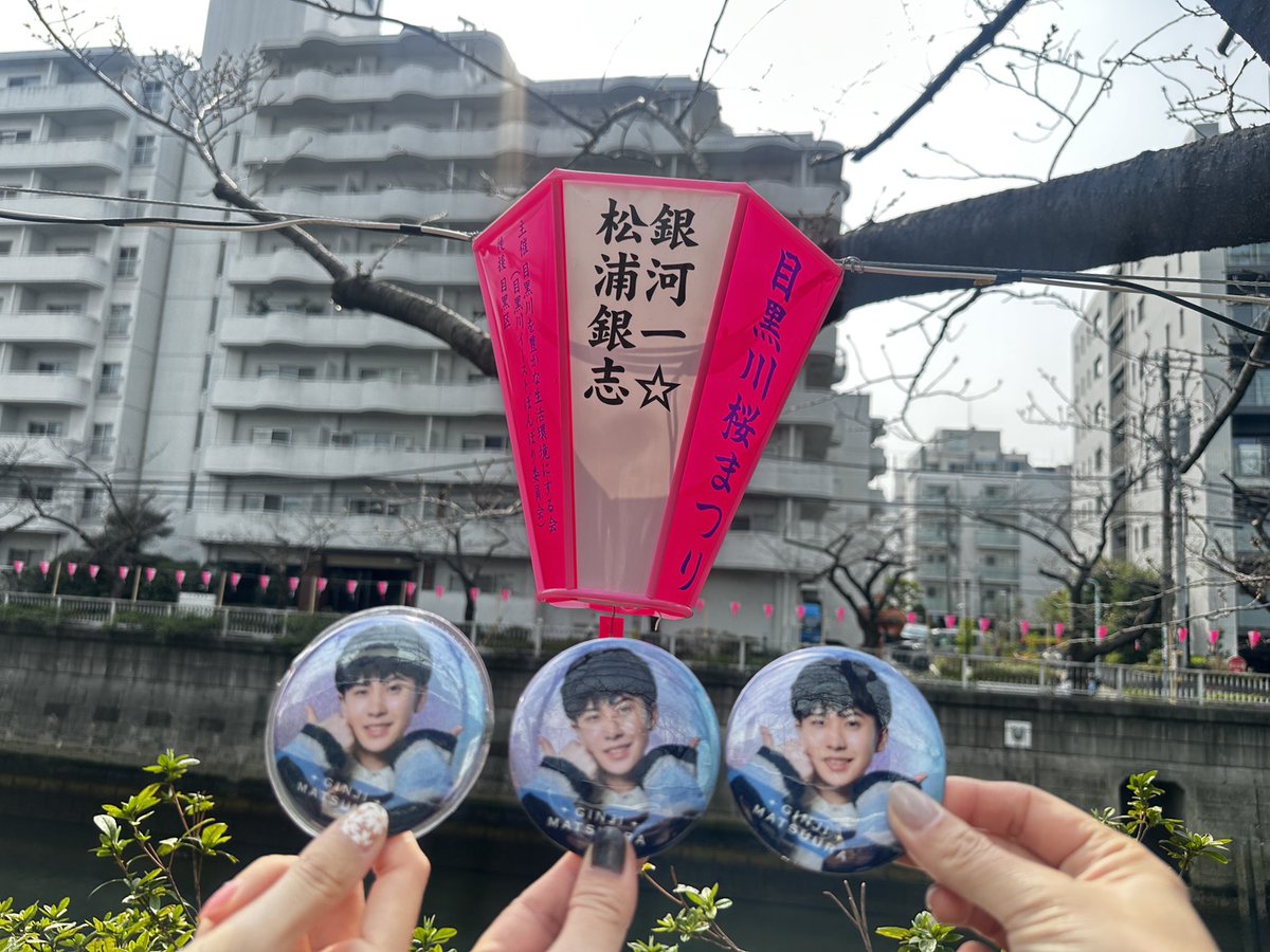 chippy0511Gin's tweet photo. 目黒川桜まつりの ぼんぼりを見つけに🚶‍♀️💚🚶‍♀️💚🚶‍♀️💚
桜は咲き始め🌸で、ぼんぼりと一緒に写真を撮るのは叶わなかったけど
色んなぼんぼりを見ながらのお散歩は、嬉しかったし楽しかった🥰 https://t.co/u3zFU4HPFu