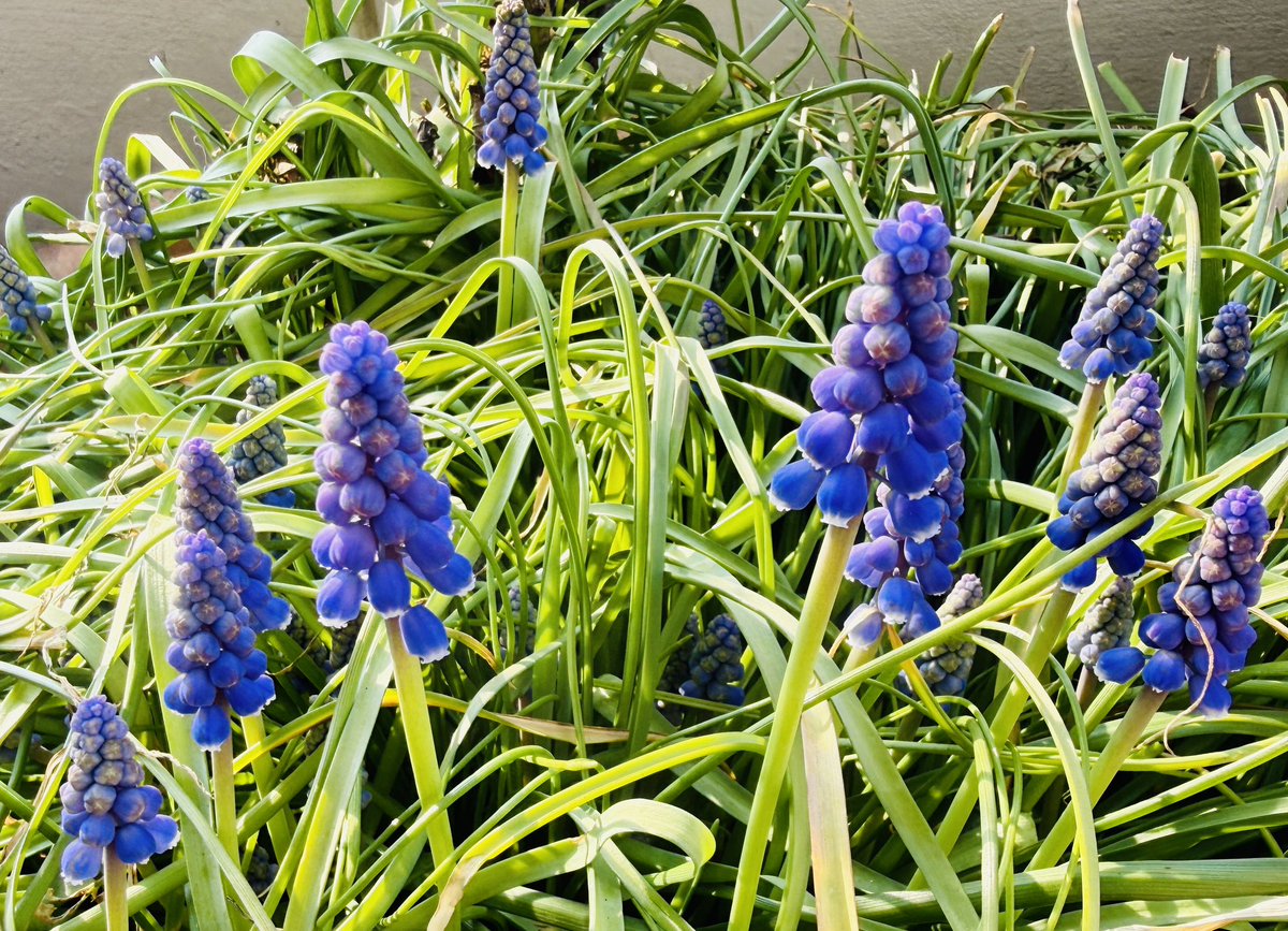 Charlotte  tweet media