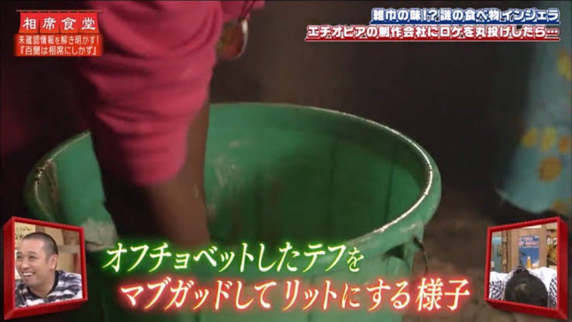 ずっと見ていたい動画 tweet media