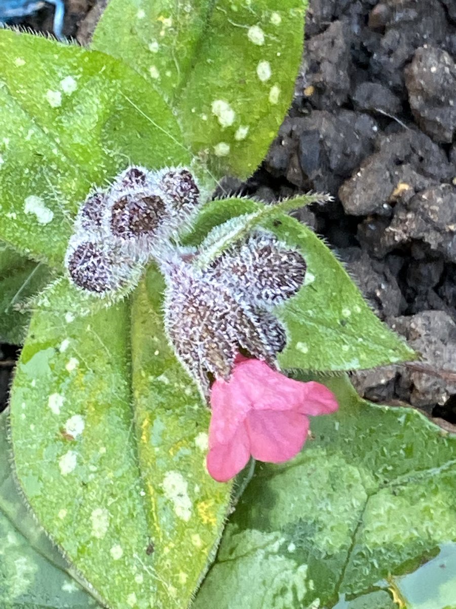 Ken Hunt tweet media