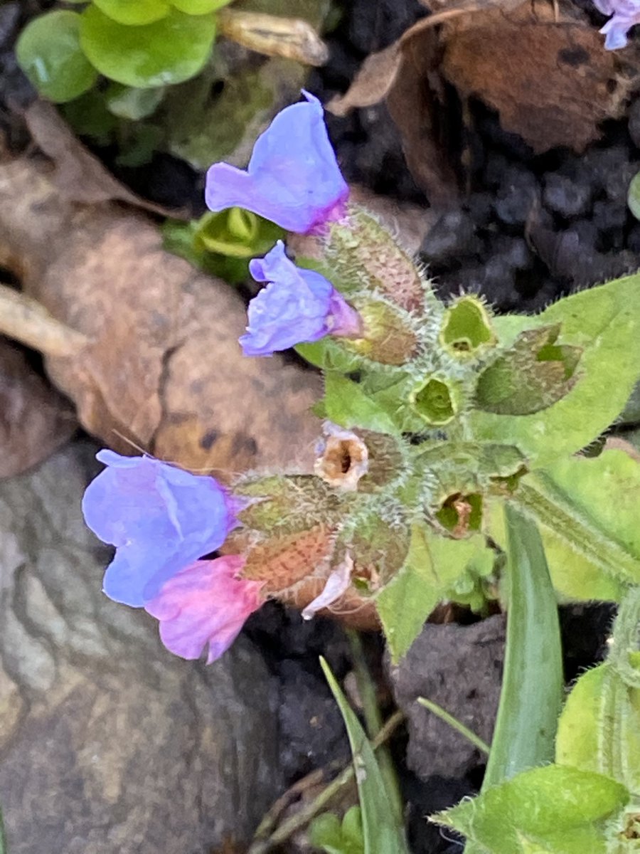 Ken Hunt tweet media