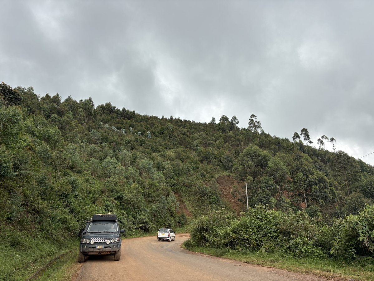 Mina Ghorbani tweet media