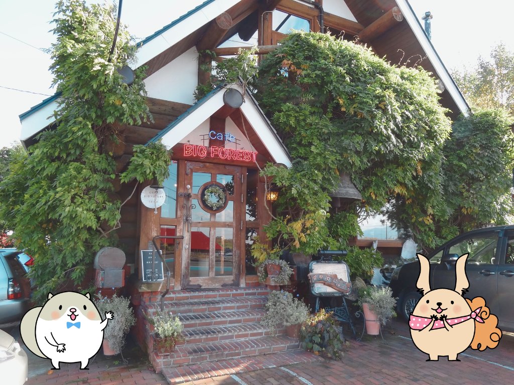 A-COLOR＊あから＊ tweet media