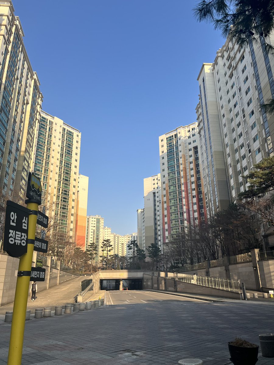 부매랑 tweet media