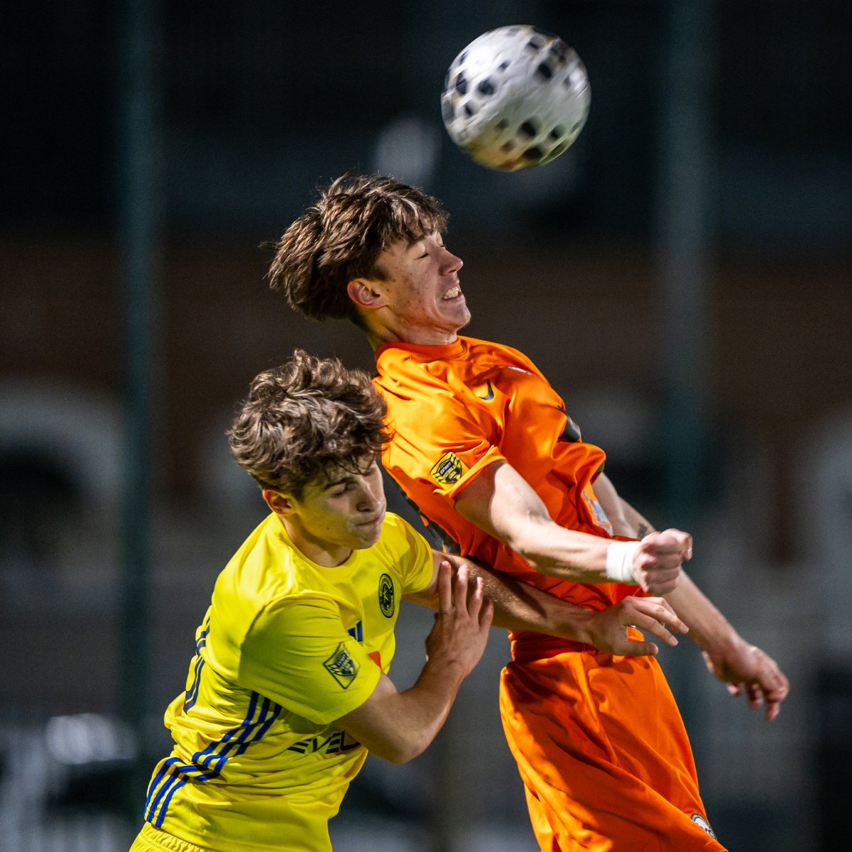 JDFS Alberts | Meistarkomanda tweet media