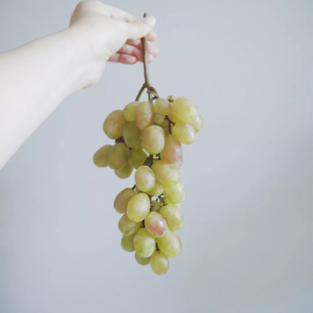 67Deliadam's tweet photo. [ Taste Test Alert!   Organic red grapes from @GreenHarvest:   Crunchy, sweet-tart bite   Juicy (no dry ends!)   Fresh-picked flavor (tested 2 days post-harvest)   Perfect for snacking/salads  Rating: 9/10   #FoodReview #GrapesLovers #OrganicEats] https://t.co/qPDNP2vUje