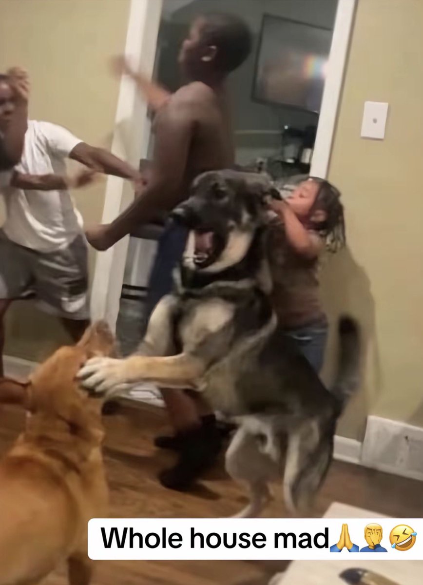 MANOA 🕷️ tweet media