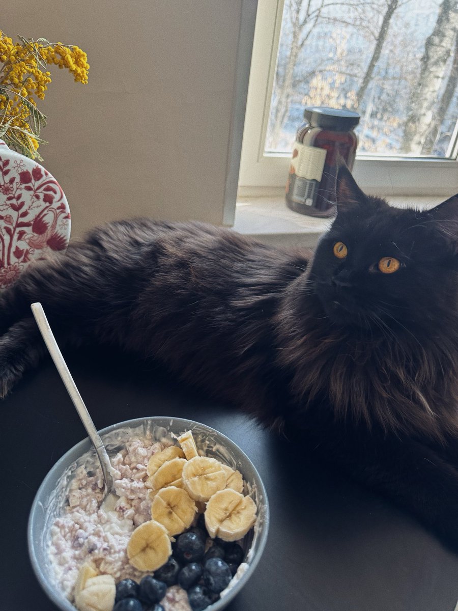 похyou tweet media