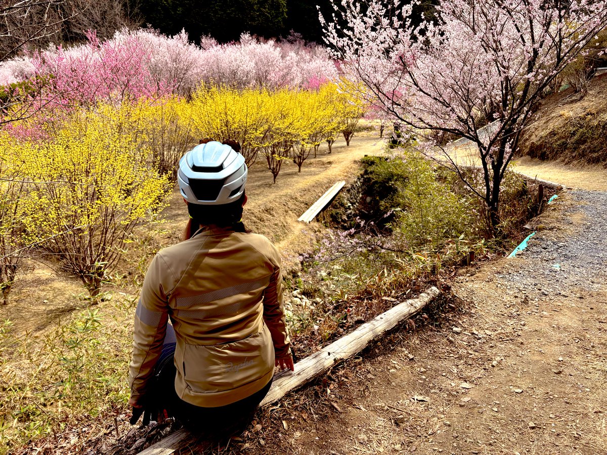 kumickey（くみっきー） tweet media