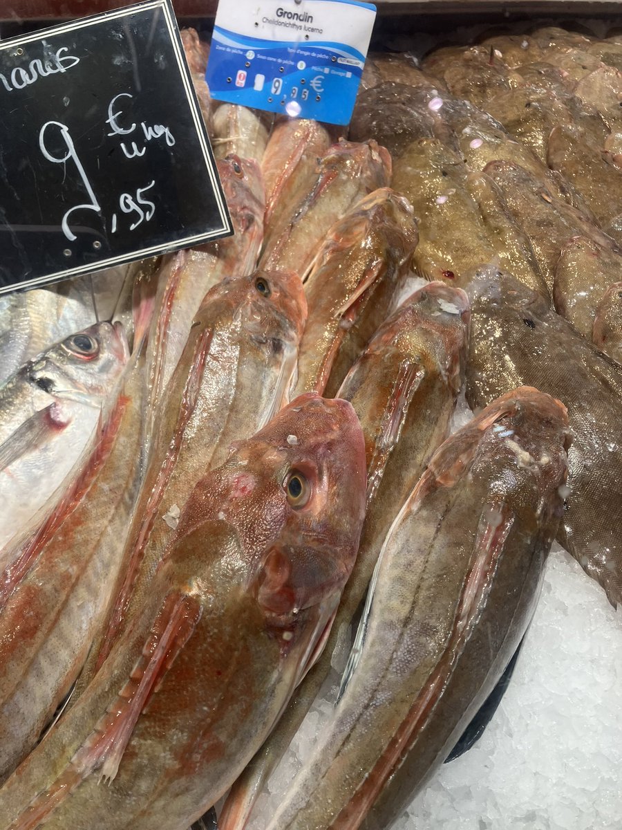 Kinseï🕊️ tweet media