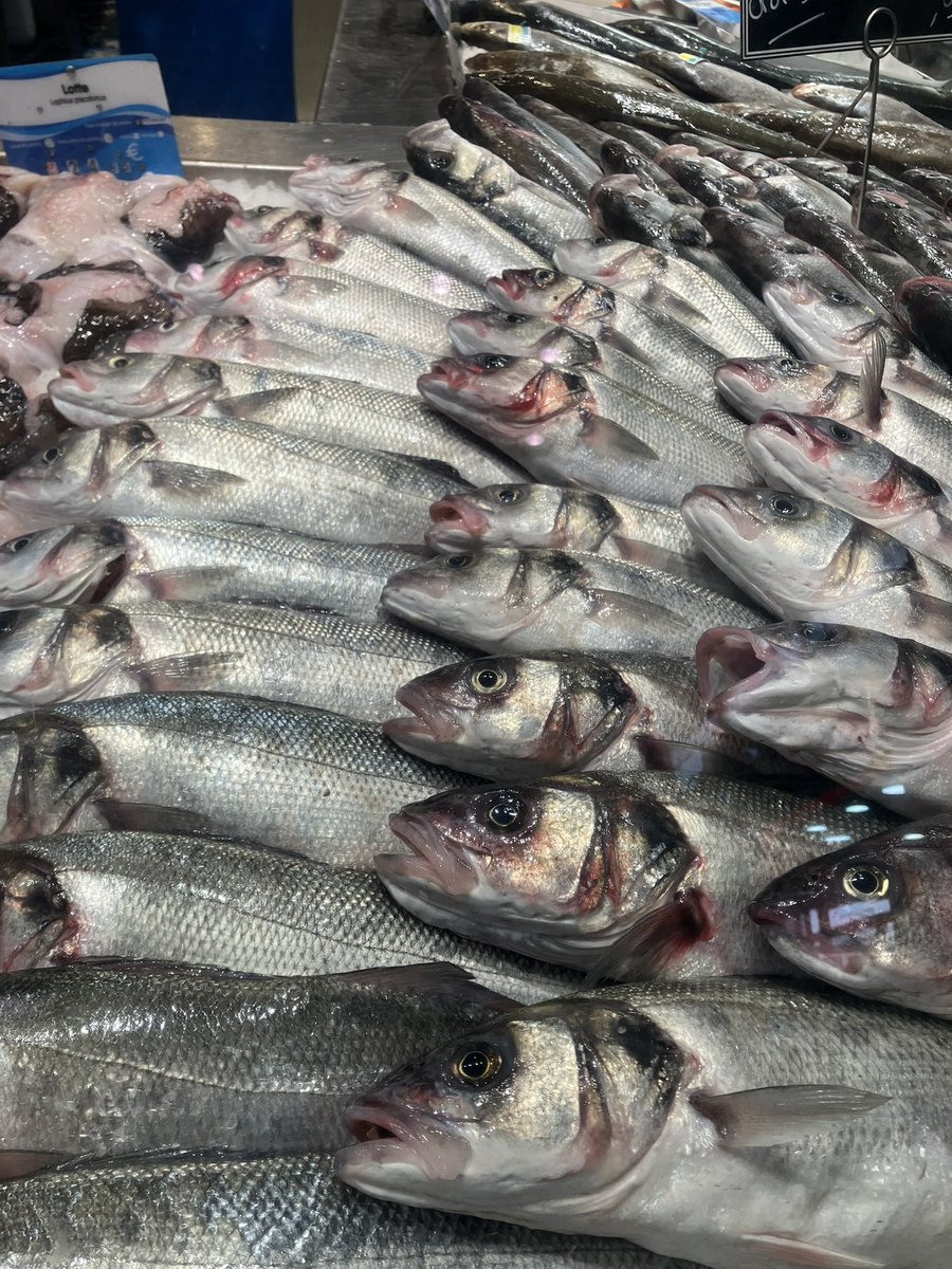 Kinseï🕊️ tweet media