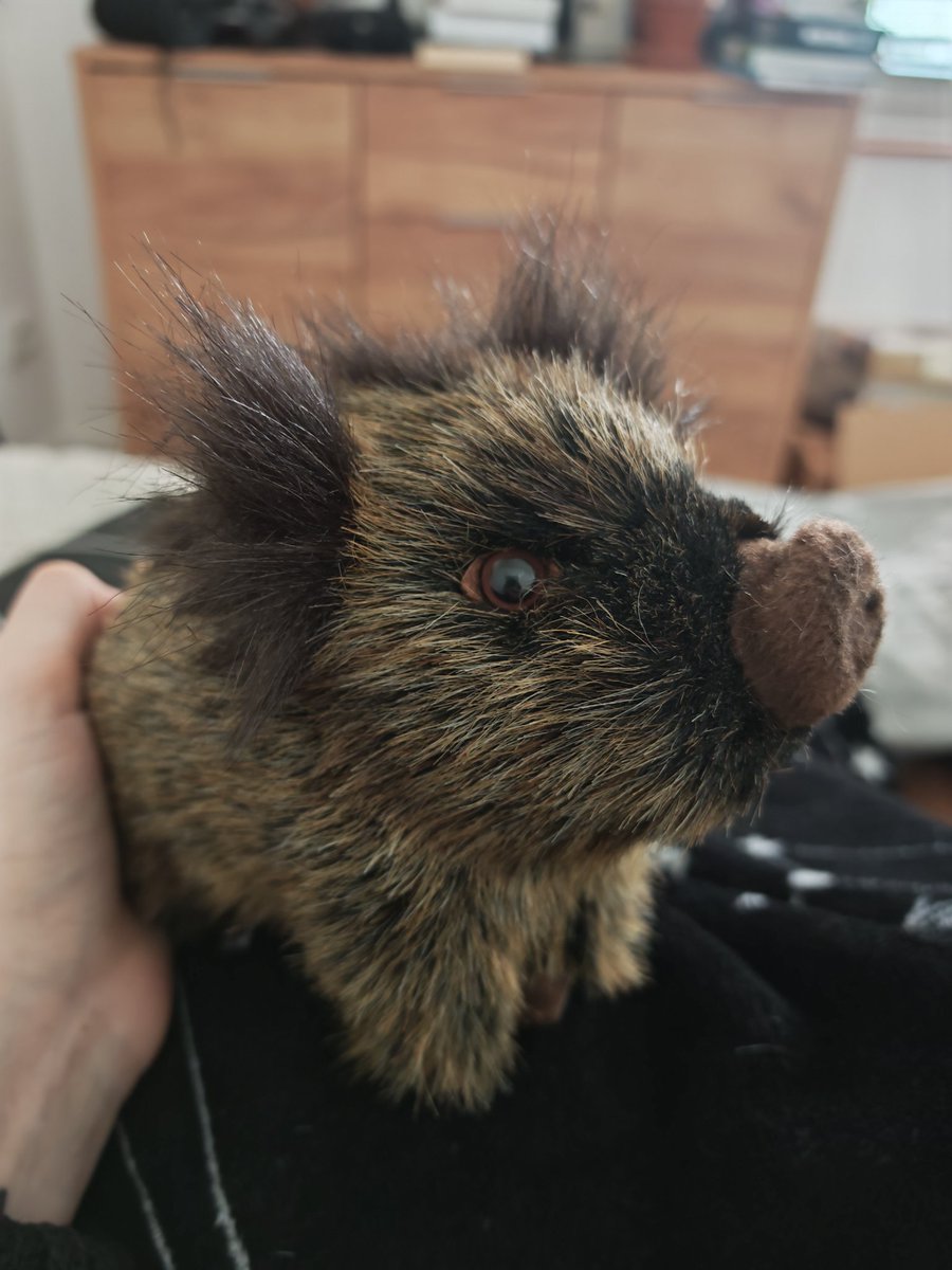 Sha ✨ Ogeko love account tweet media