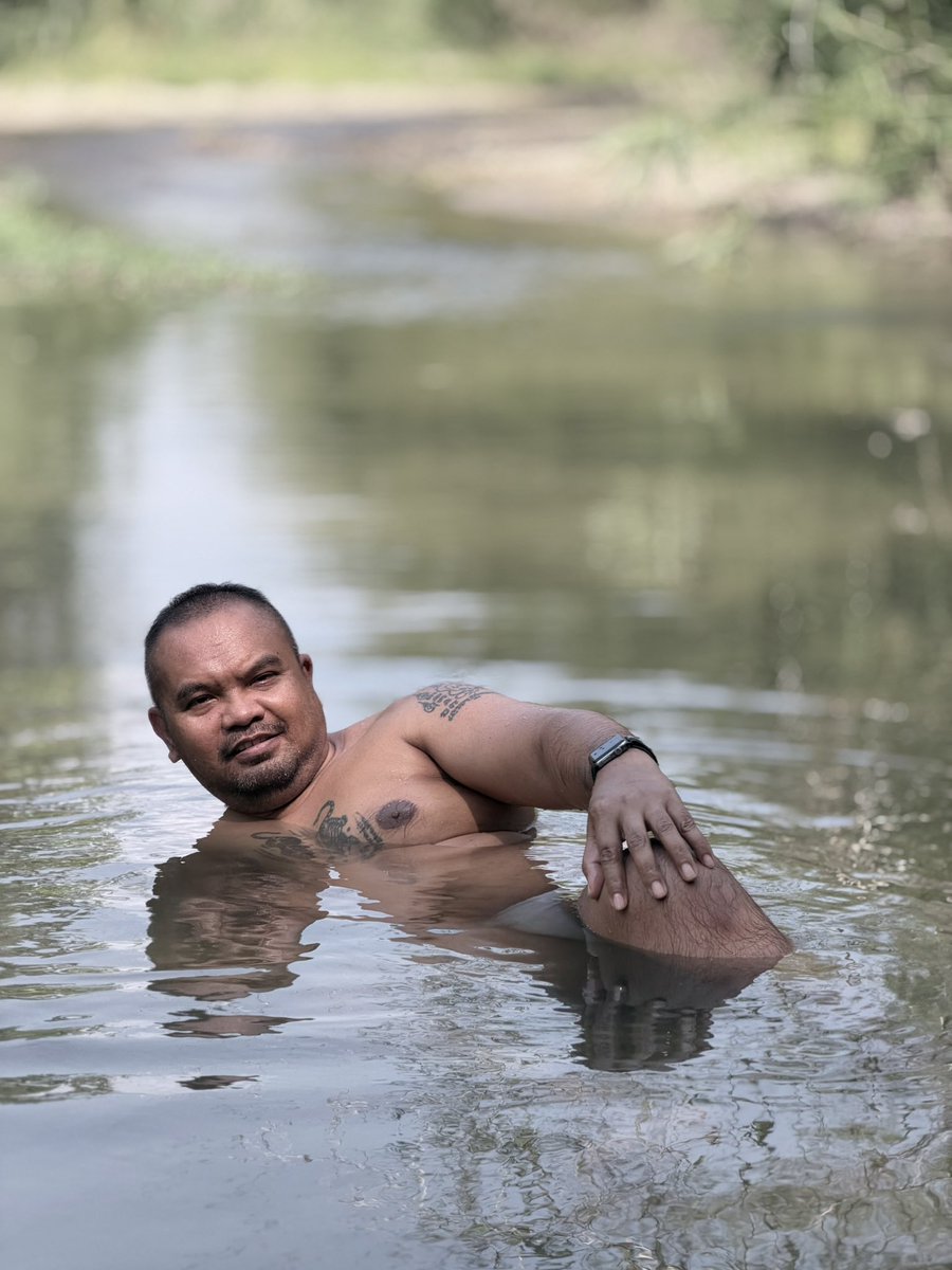 หมีชนบท tweet media