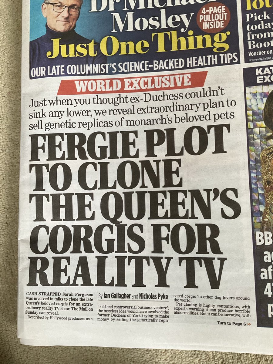 phil dampier tweet media