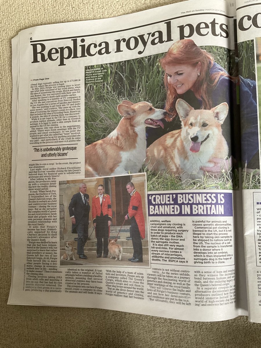 phil dampier tweet media