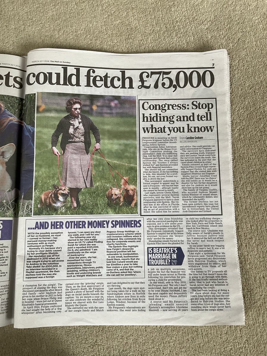 phil dampier tweet media