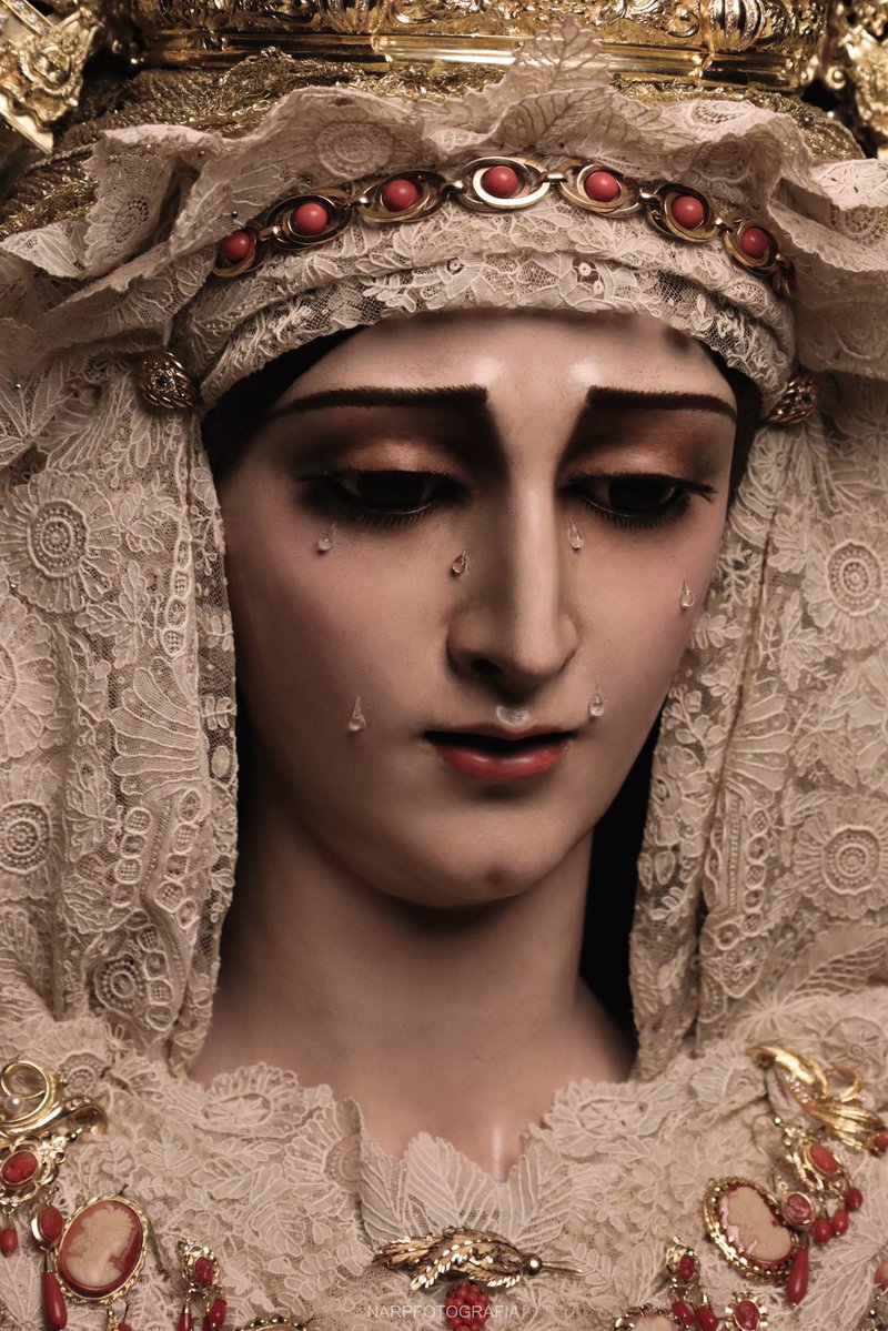 ΝΔSΓ 🚨🧚♀️ tweet media