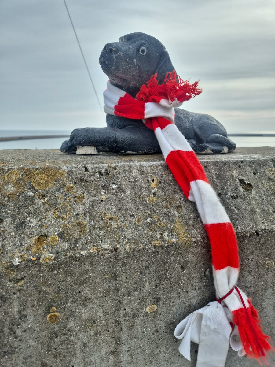 Geoff Scott tweet media