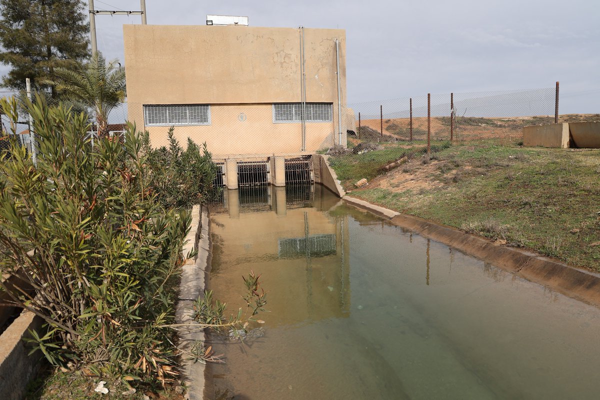 WFP Syria tweet media