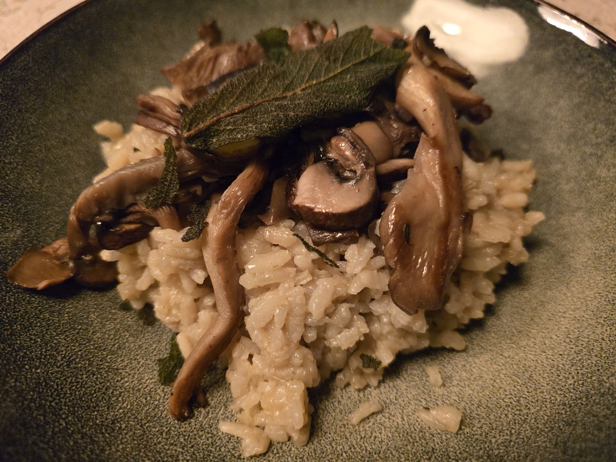 MEFDeBock tweet media