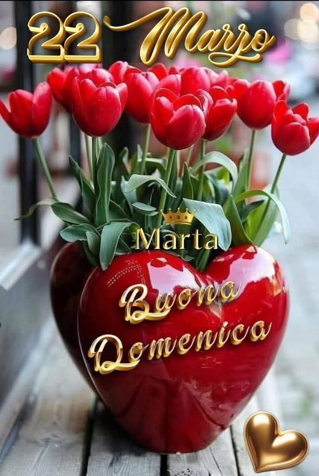 Meroni Daniele tweet media