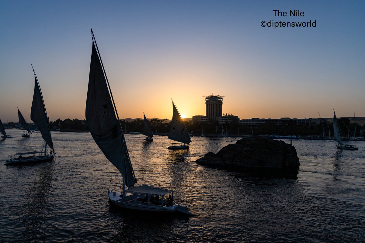 diptensworld's tweet photo. Sunday Travel Pics: @IndiAves

On the picturesque River Nile - wonderful eye-catching Nilescapes at dawn and dusk.
 
#travel #wildlife #animals #nature #birds #birding #birdwatching #birdphotography #naturephotography #travelphotography https://t.co/HkrYyMw5EJ