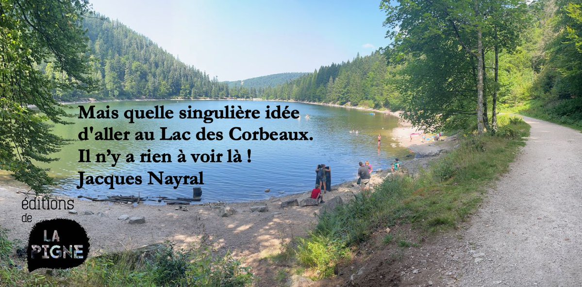 LaPigne tweet media
