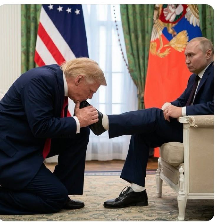 OzTrident 🥊🦘 tweet media