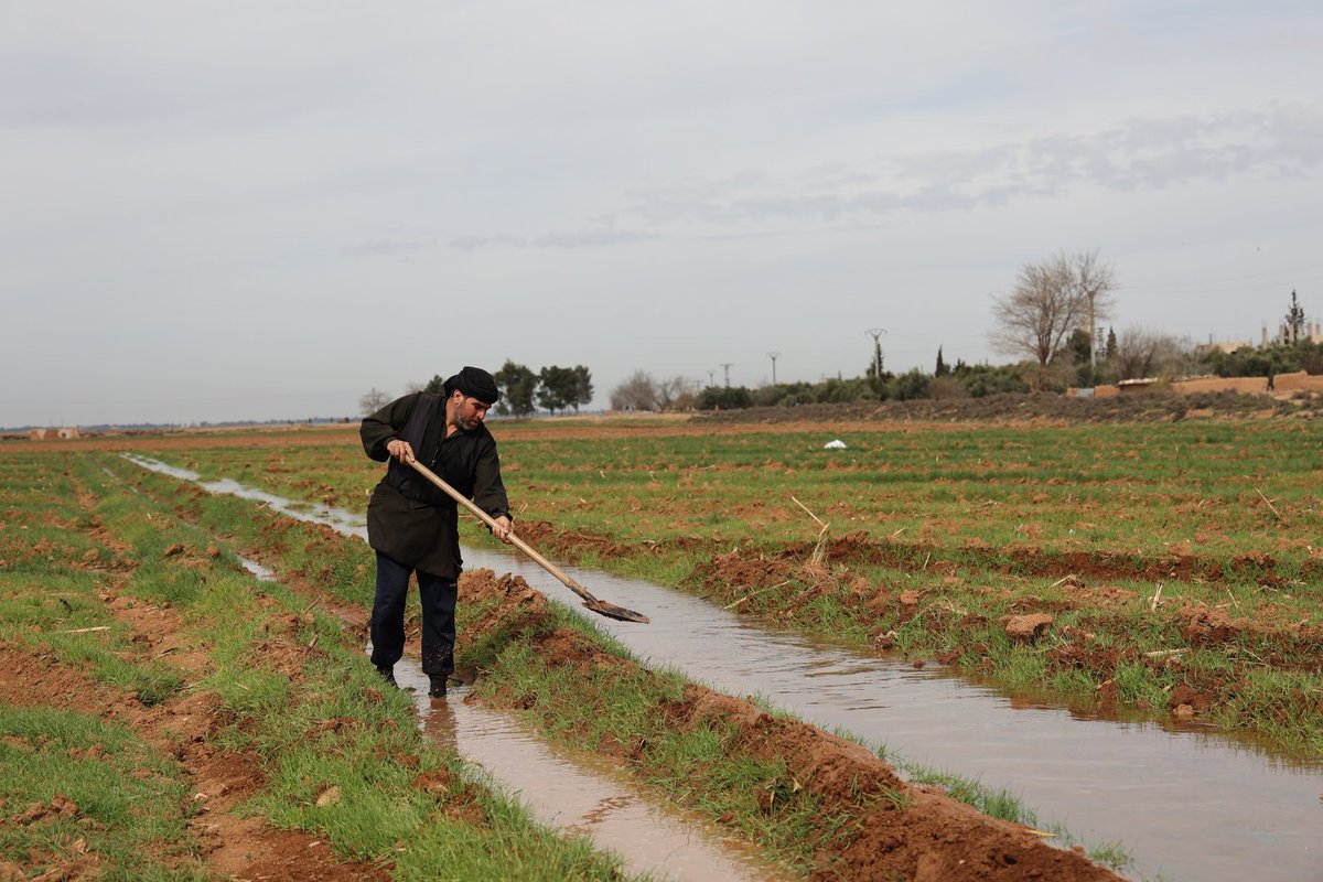 WFP Syria tweet media