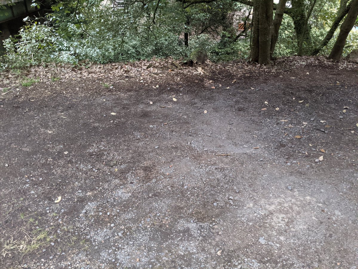 Χ④@週末炭火焼肉 鹿屋基地提督 tweet media