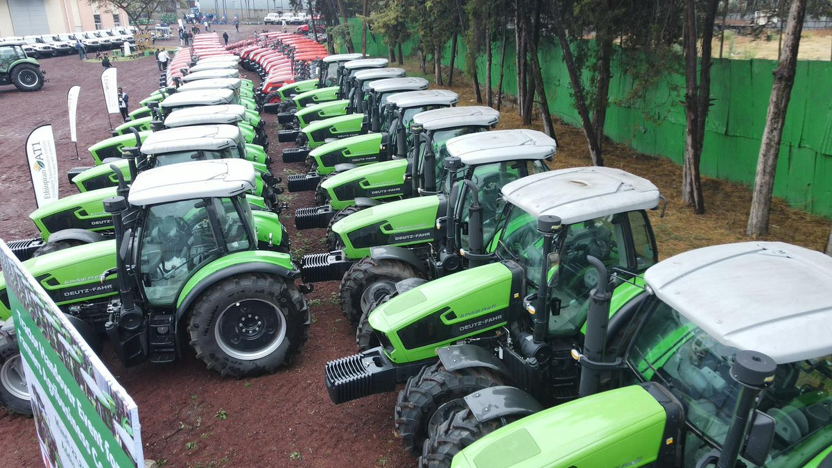 Daniel Daba tweet media