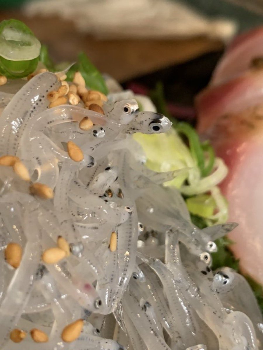 大♪(´ε｀ ) tweet media