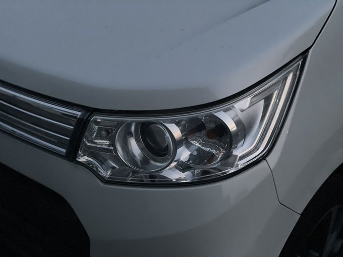 おかえりスティングレー、昨日ぶり