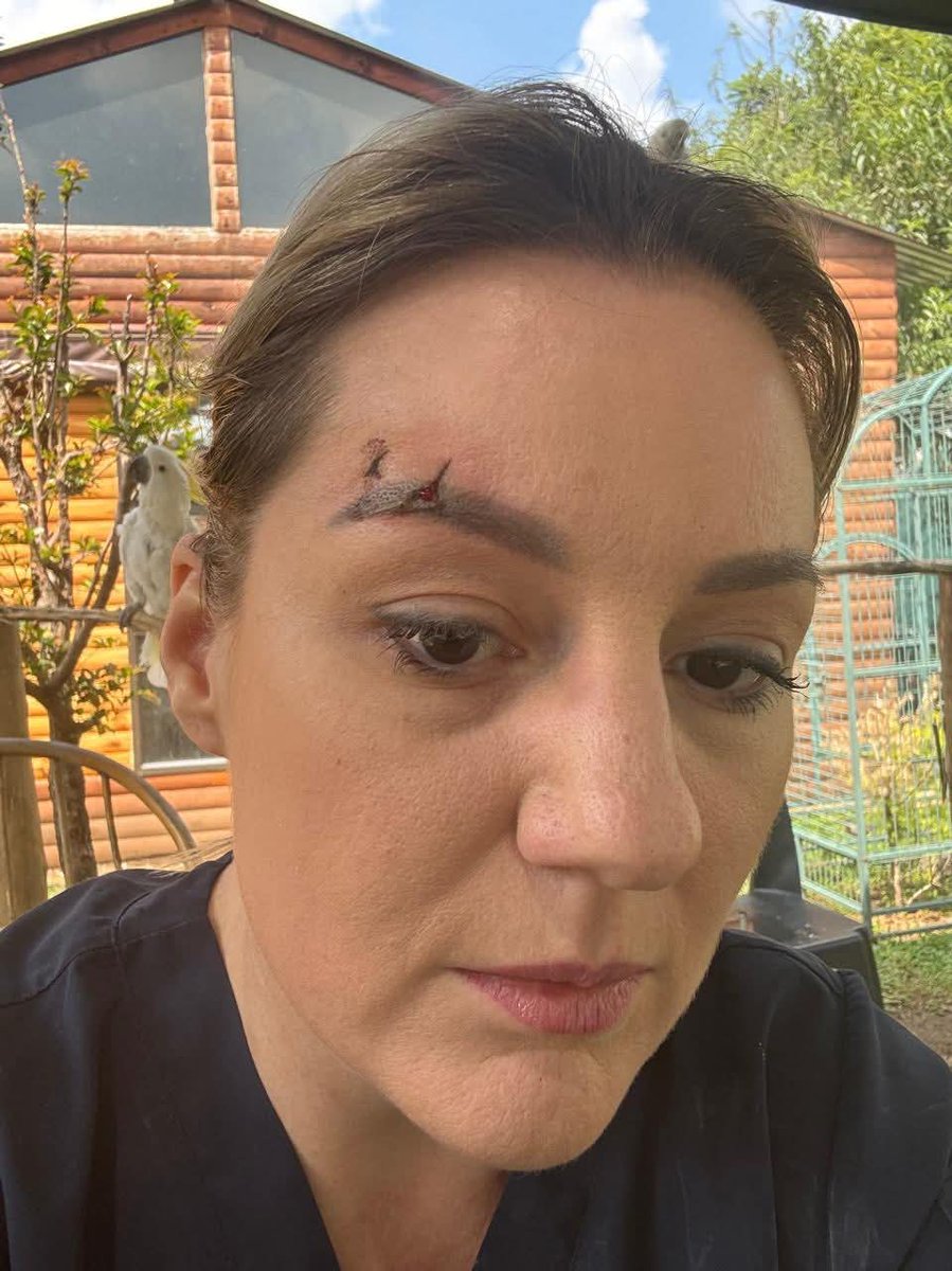 Brainy Birds SA tweet media