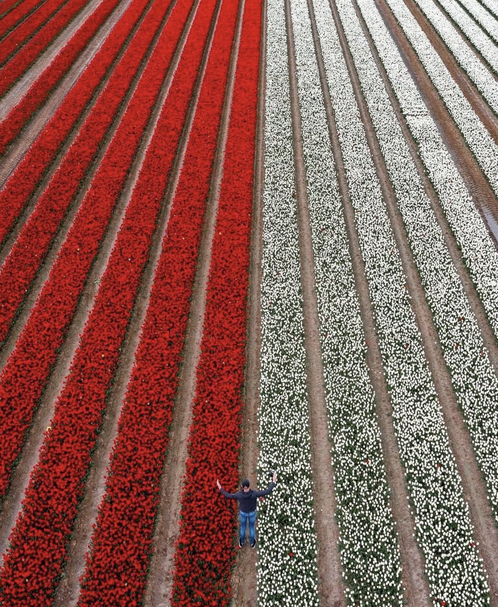 folkative tweet media