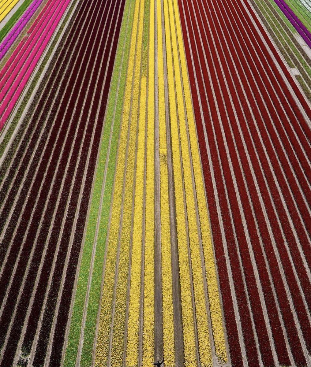 folkative tweet media