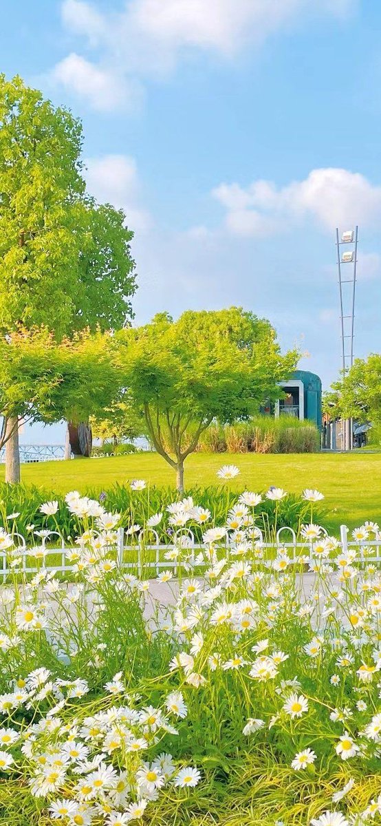 Kamerina Ramos tweet media