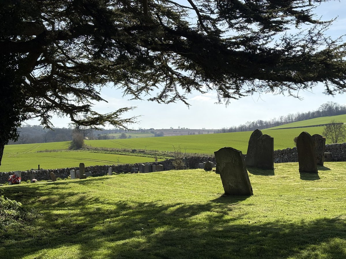 Chris Andrew tweet media