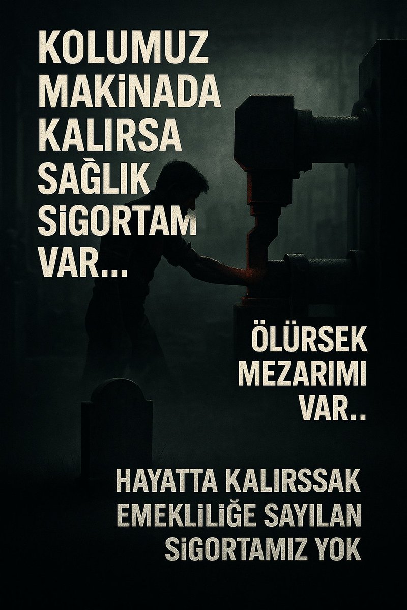 Zihni Karahan tweet media