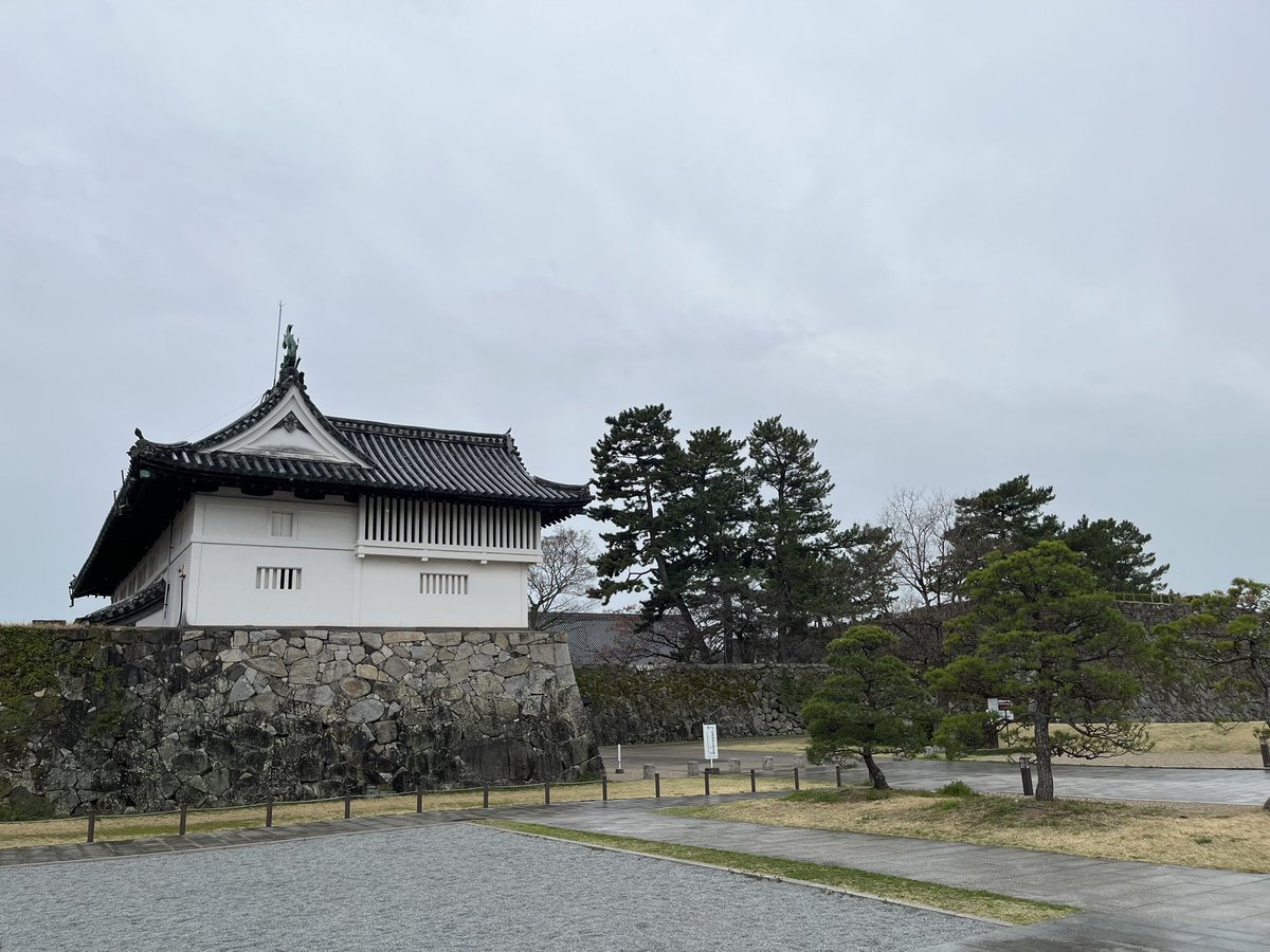 yosuke shimizu tweet media