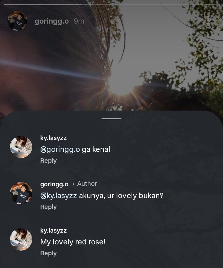 KHAESTER tweet media