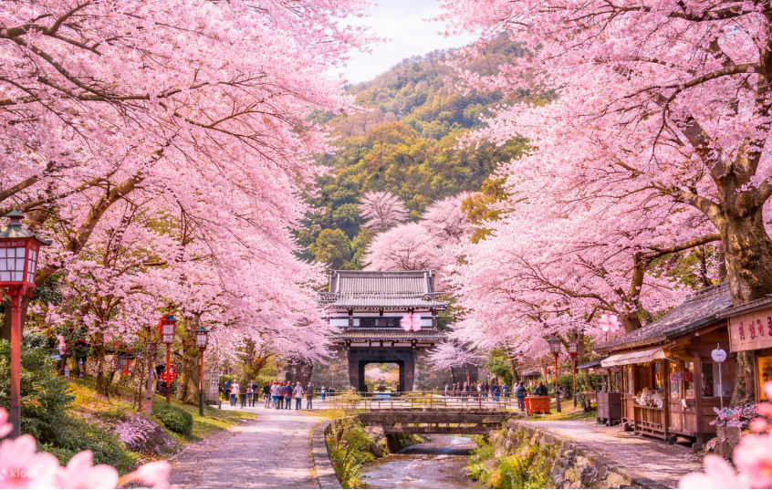 Hipotelab | Broker Hipotecas tweet media